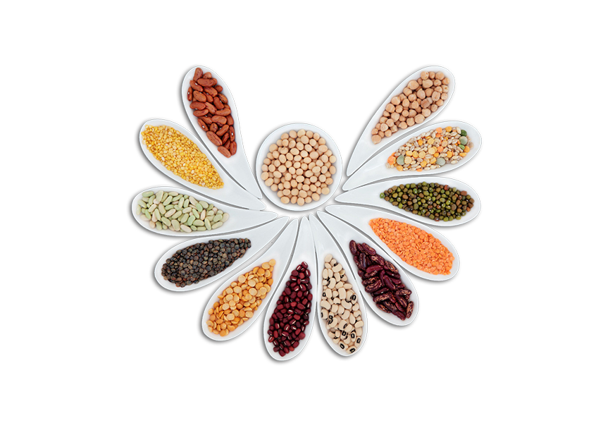 Astra ithalat pulses