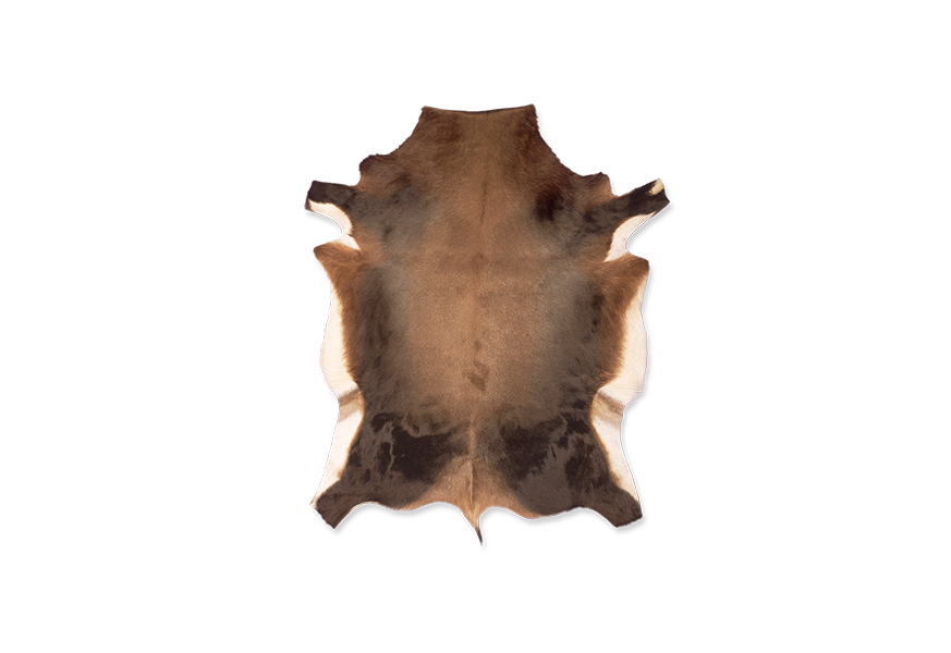 Astra ithalat raw material